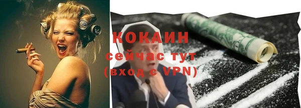 винт Лиски