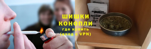 тгк Ладушкин