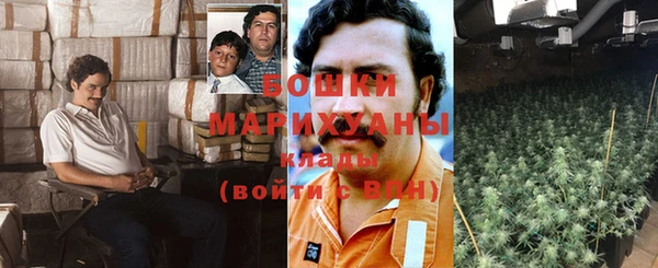 винт Лиски