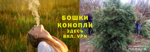 винт Лиски