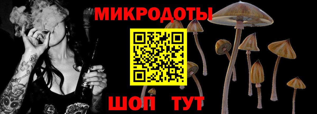 Галлюциногенные грибы ЛСД  Вход с VPN  купить   Пенза 