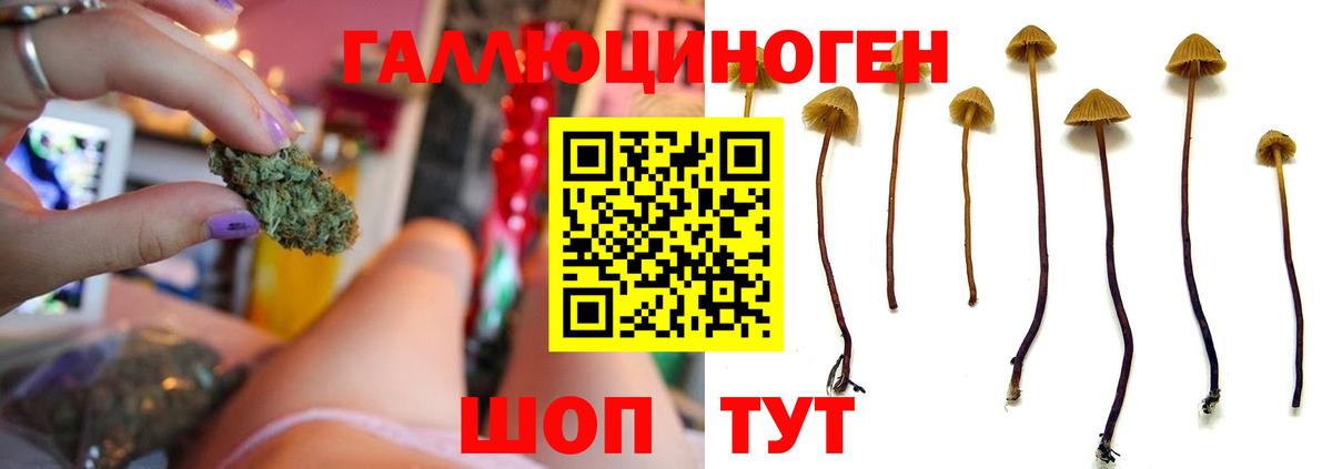 даркнет сайт  Галлюциногенные грибы Magic Shrooms  Пенза  Псилоцибиновые грибы мицелий 